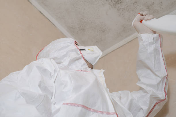 Best Best Mold Removal Companies  in Kutztown University, PA